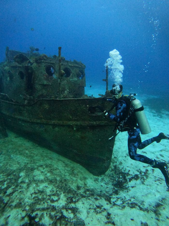 Scuba diver investigates a sunken ship on the ocean floor, surrounded by aquatic life.