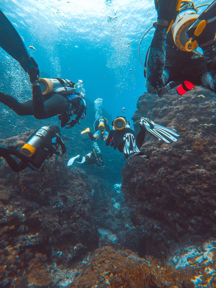 A group of scuba divers explore a vibrant coral reef underwater, surrounded by clear blue water.